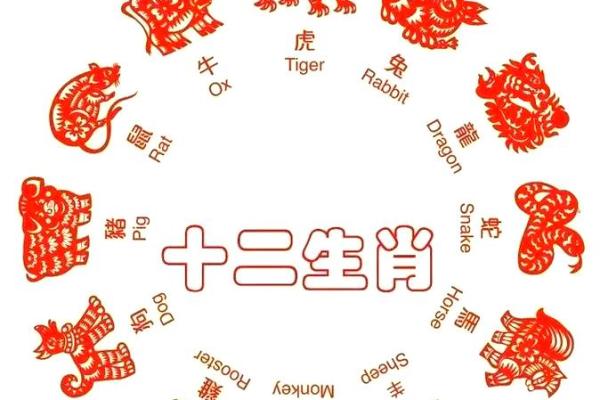 2019年十二生肖财运排行榜及提升财运技巧