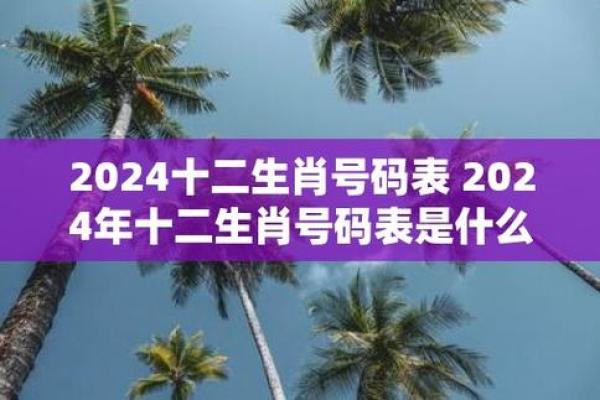 2024年最新十二生肖号码表完整版高清图片免费下载