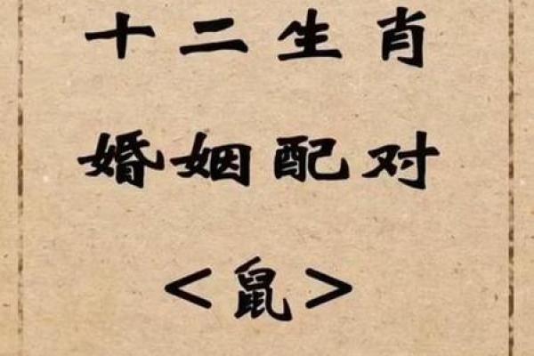 属鼠的男性最佳婚配属相有哪些具体建议？