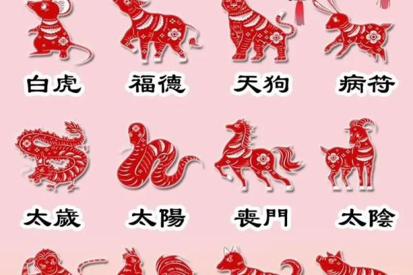 2024年生肖号码对照表查询十二生肖数字代码大全
