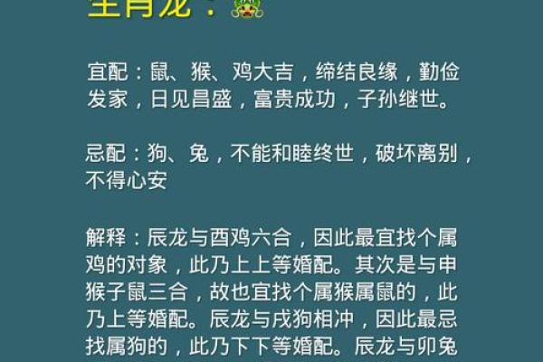 属兔男婚配属相指南：哪些生肖能带来幸福婚姻