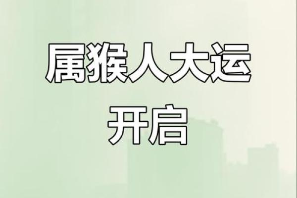 属猴人2021年运势详解全年运程完整版