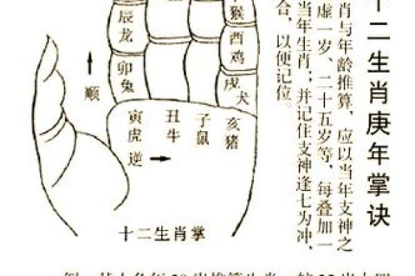 根据十二生肖五行属性选择最佳楼层有哪些讲究？
