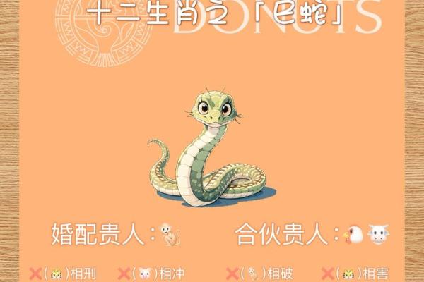 属蛇的人在2012年龙年的运势如何，事业和感情方面会有转机吗