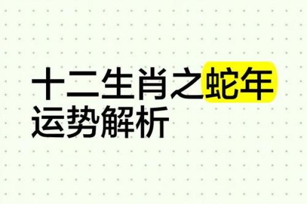 属蛇的人在2012年龙年的运势如何，事业和感情方面会有转机吗