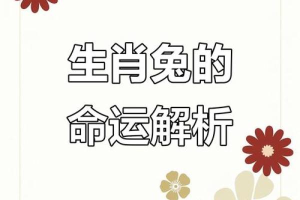 2013年蛇年75年出生属兔者全年财运健康解析