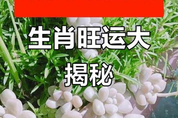 2021年哪些生肖运势最旺，财运事业双丰收？