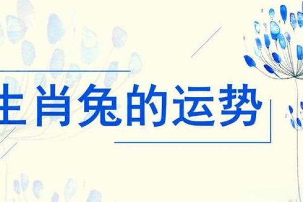 属兔人一生最克的三个人是谁？如何化解着种相克关系带来的负面影响？