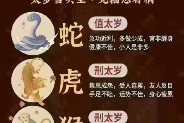 属马人2019年事业财运如何化解太岁冲击并提升运势？