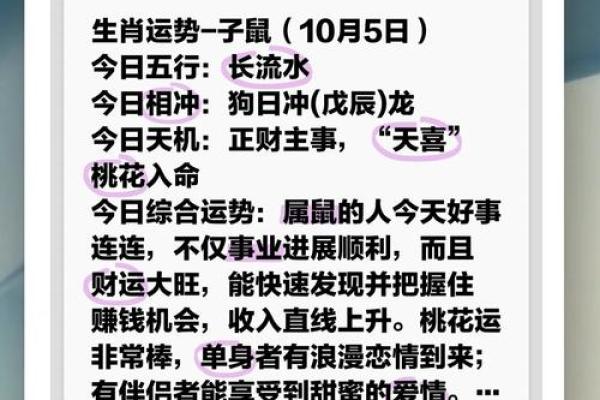 2013年属鼠人的全年运程详解，看看事业和感情是否顺利