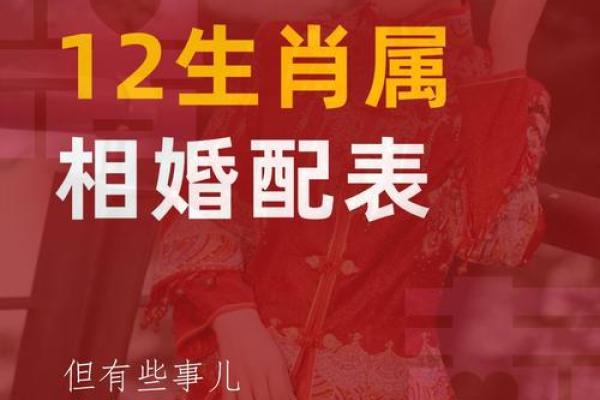 属虎的人和什么属相最配？详细解析婚配宜忌表