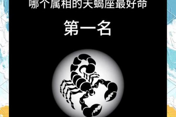 属猪的找对象和哪个属相最配？属猪婚配宜忌大全