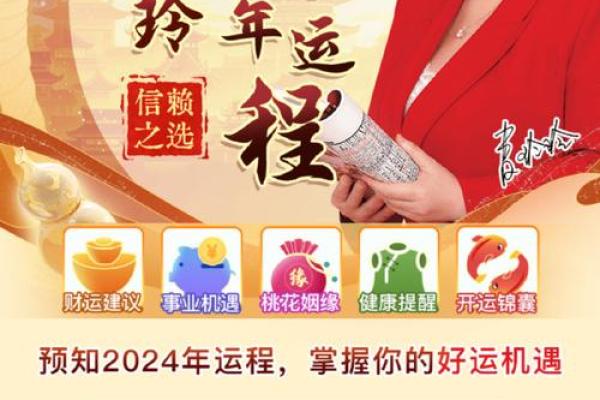 麦玲玲2013年生肖运程完整版，十二生肖运势全解析
