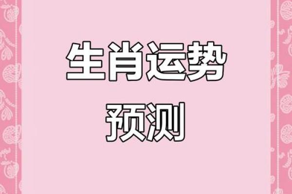 2023年属什么生肖？详细解析兔年的起始时间和运势特点