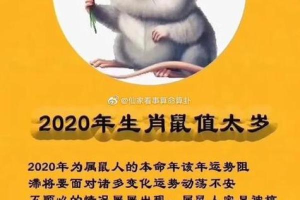 84年属鼠39岁大劫是真的吗？如何化解属鼠人的运势危机