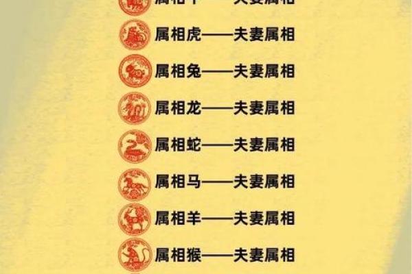 属兔女性婚姻配对，哪些生肖属相最能够带来幸福美满？