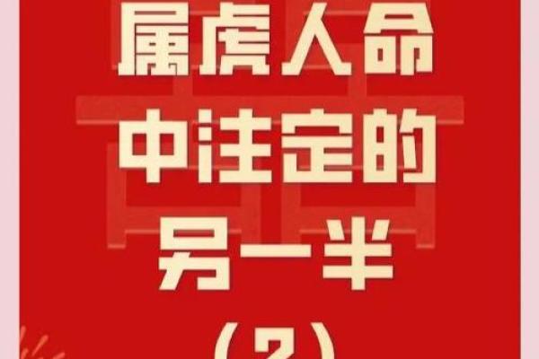 属虎的属相婚配表完整版：哪些生肖适合结婚？