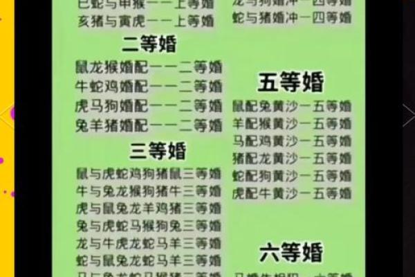 男属狗女属兔的婚姻配对是否合适，性格合不合？