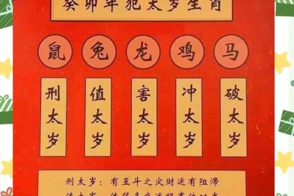 麦玲玲讲解2016年犯太岁的生肖及化解方法大全