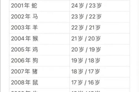 属马的人2024年运势如何？事业财运健康详解