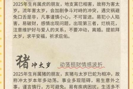 2019年属兔的人犯太岁吗，如何化解冲太岁带来的不利影响？
