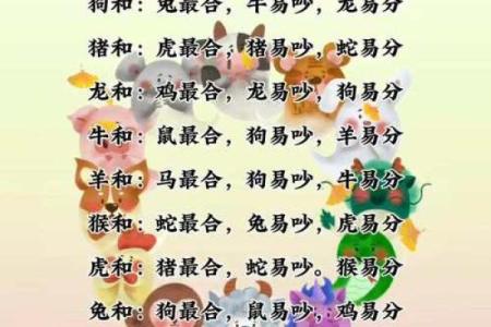 属马人婚姻配对宜忌：哪些生肖最能与马共筑美满姻缘？