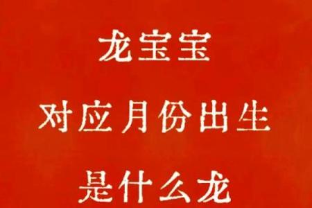 2012年龙年出生的孩子命运和性格特点解析