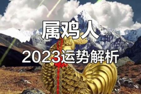 属鸡人2023年运势详解全年运程完整版