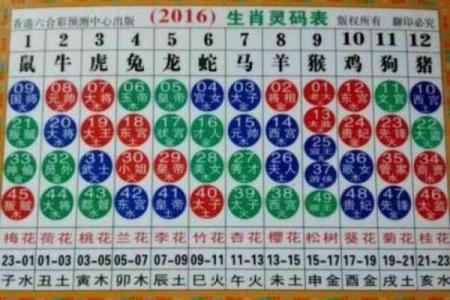 2024年生肖号码对照表查询十二生肖数字代码大全