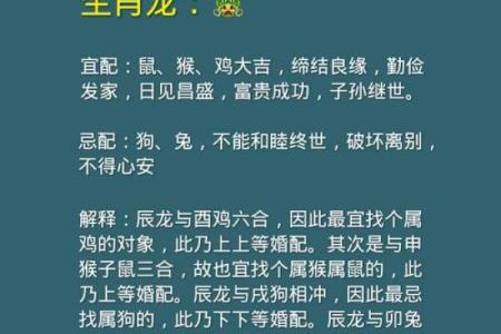 属兔男婚配属相指南：哪些生肖能带来幸福婚姻