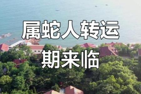 属蛇的人2026年的运势及运程