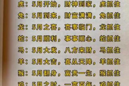 2023年属什么生肖？详细解析兔年的起始时间和运势特点