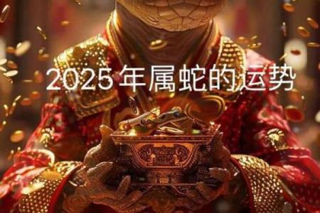 属蛇2025年每月运势