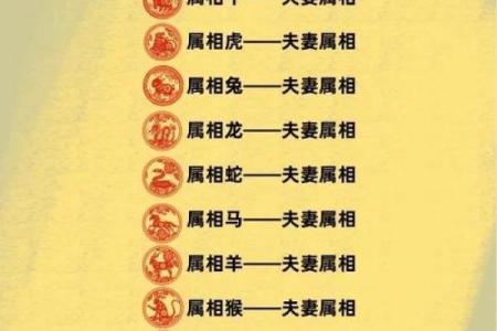 属兔女性婚姻配对，哪些生肖属相最能够带来幸福美满？
