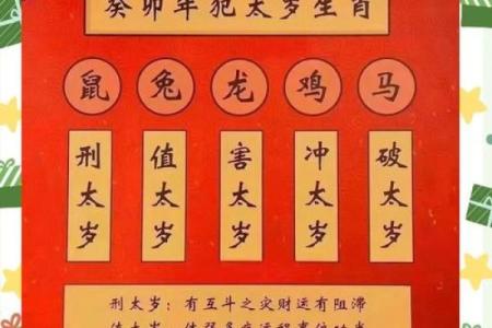 麦玲玲讲解2016年犯太岁的生肖及化解方法大全