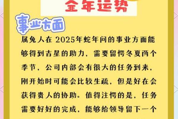 2023年属兔的人运势如何以及本命年要注意什么? 2023年属兔的人运势如何以及本命年要注意什么?