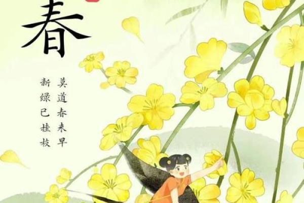 2023年立春具体时间是几月几号几点几分几秒开始？