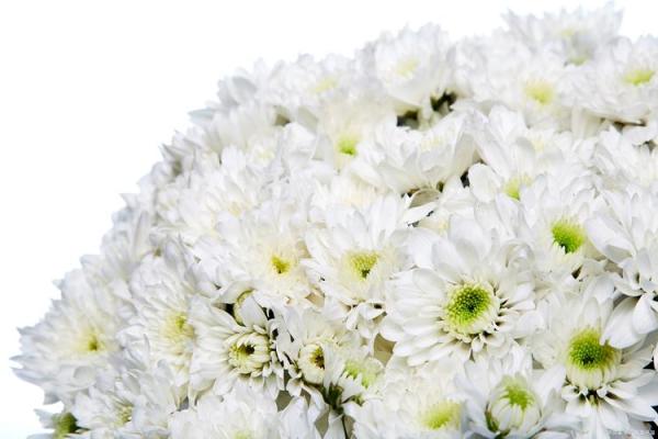 失去亲人后的第一个春节该怎么过？如何缓解悲伤情绪并安排仪式？