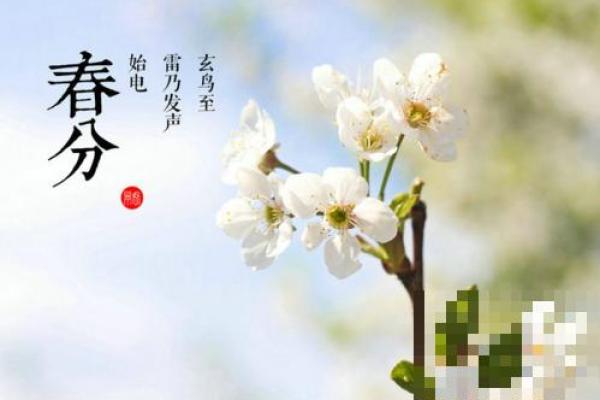 2012年七夕节是几月几号具体日期及星期几查询
