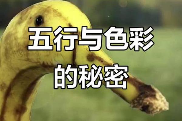 2021年9月2日五行穿衣指南 2021年9月2日穿什么颜色旺财