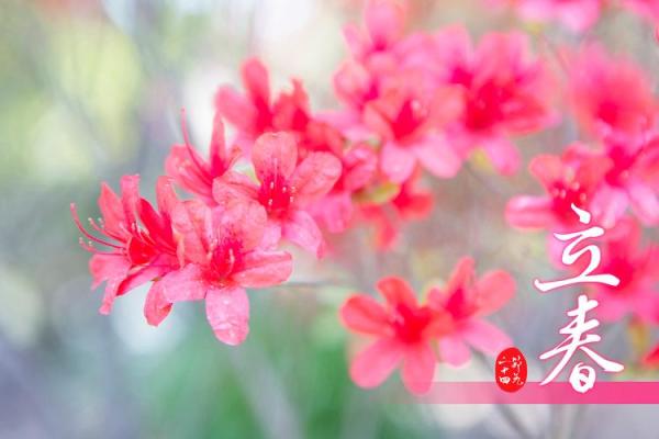 2020年立春准确时刻是哪天几点，如何迎接春神习俗