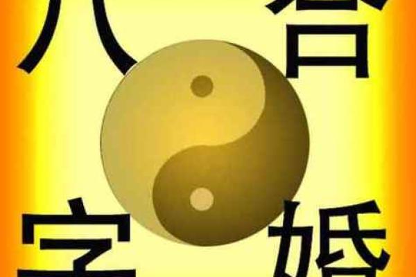 2026年元旦结婚黄道吉日查询，八字合婚测算与酒店档期前瞻