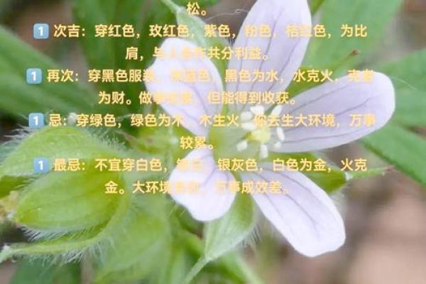 五行穿衣指南2022年5月18日 2022年5月18日穿什么颜色吉利