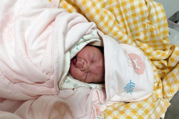2025年11月适合结婚的好日子(2025年11月11日农历是多少)