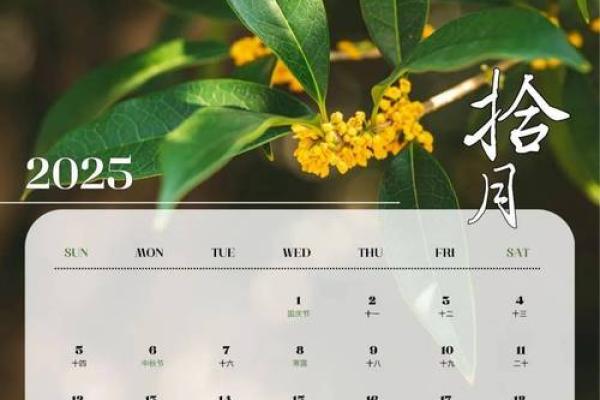 2025年12月份动土吉日专用日历(2025年12月份动土吉日专用日历是什么) 2025年12月份动土吉日专用日历(2025年12月份动土吉日专用日历是什么)