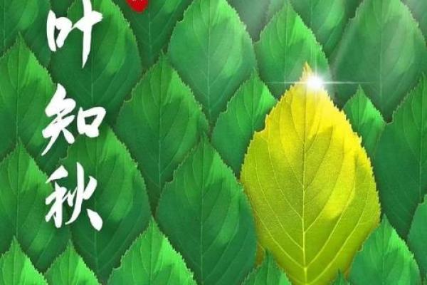 请问今年立秋的准确时间点是多少？想了解几时几分几秒进入立秋