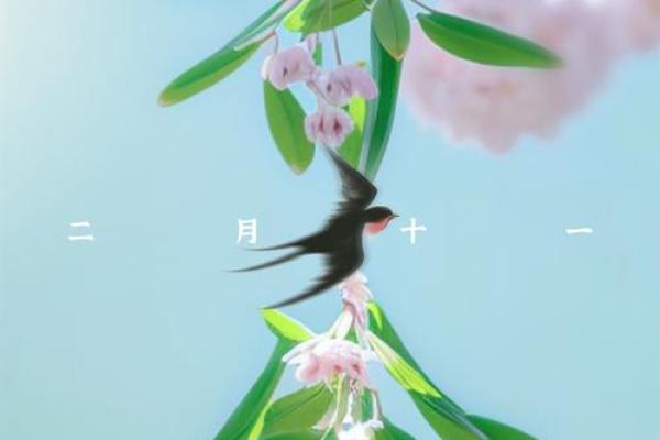 2024年立春具体是哪一天几点几分几秒开始？