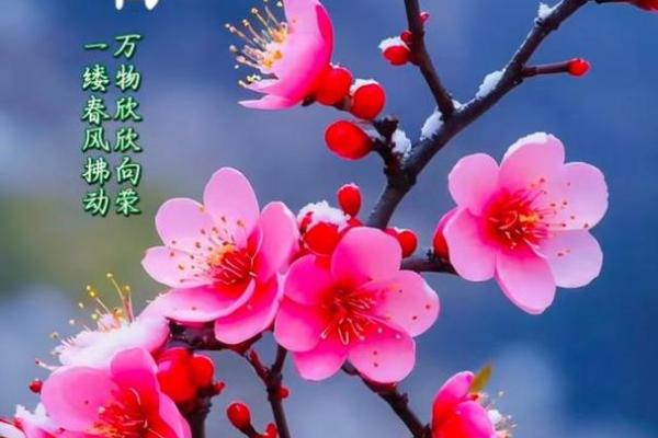 立春那天结婚好吗2025(立春那天结婚好吗2025年)