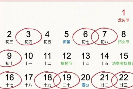 20259破土最旺的日子(破土吉日查询2025)