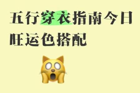 今日五行色穿衣查询3.1 今日五行穿衣颜色指南查询